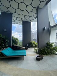 Eco Sanctuary (D23), Condominium #566553121